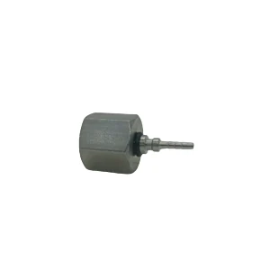 Terminal Testeo Presión Hembra BSP Giratorio Cono DN2