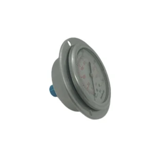 Manómetro Glicerina Con Flange Conex. Posterior NPT D=63