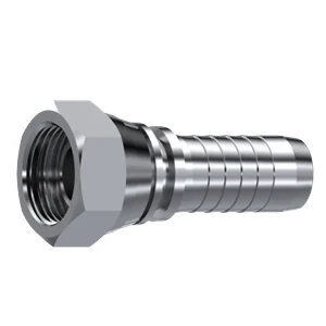 Conexión Manguera Hembra BSP Inox 316