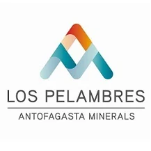 Logo de Minera Los Pelambres, cliente de UTECSA en Chile