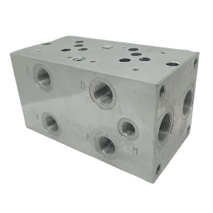 manifold_cetop_5_paralelo_1_2_p_relief-removebg-preview